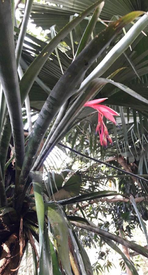 Apartmán Jardin De Naipi Puerto Iguazú Exteriér fotografie