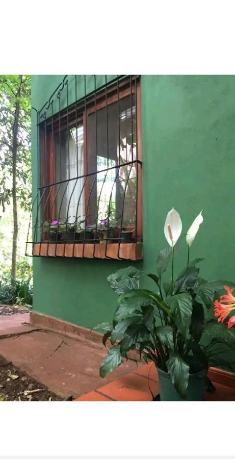 Apartmán Jardin De Naipi Puerto Iguazú Exteriér fotografie
