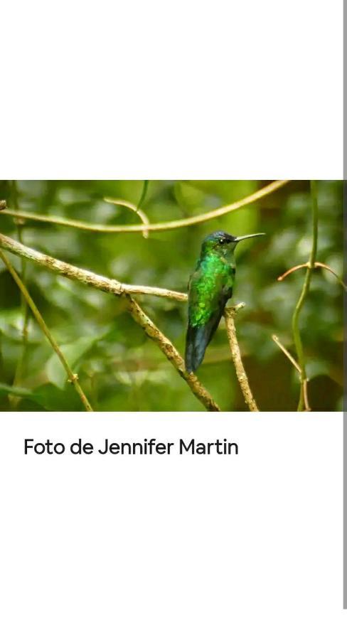Apartmán Jardin De Naipi Puerto Iguazú Exteriér fotografie